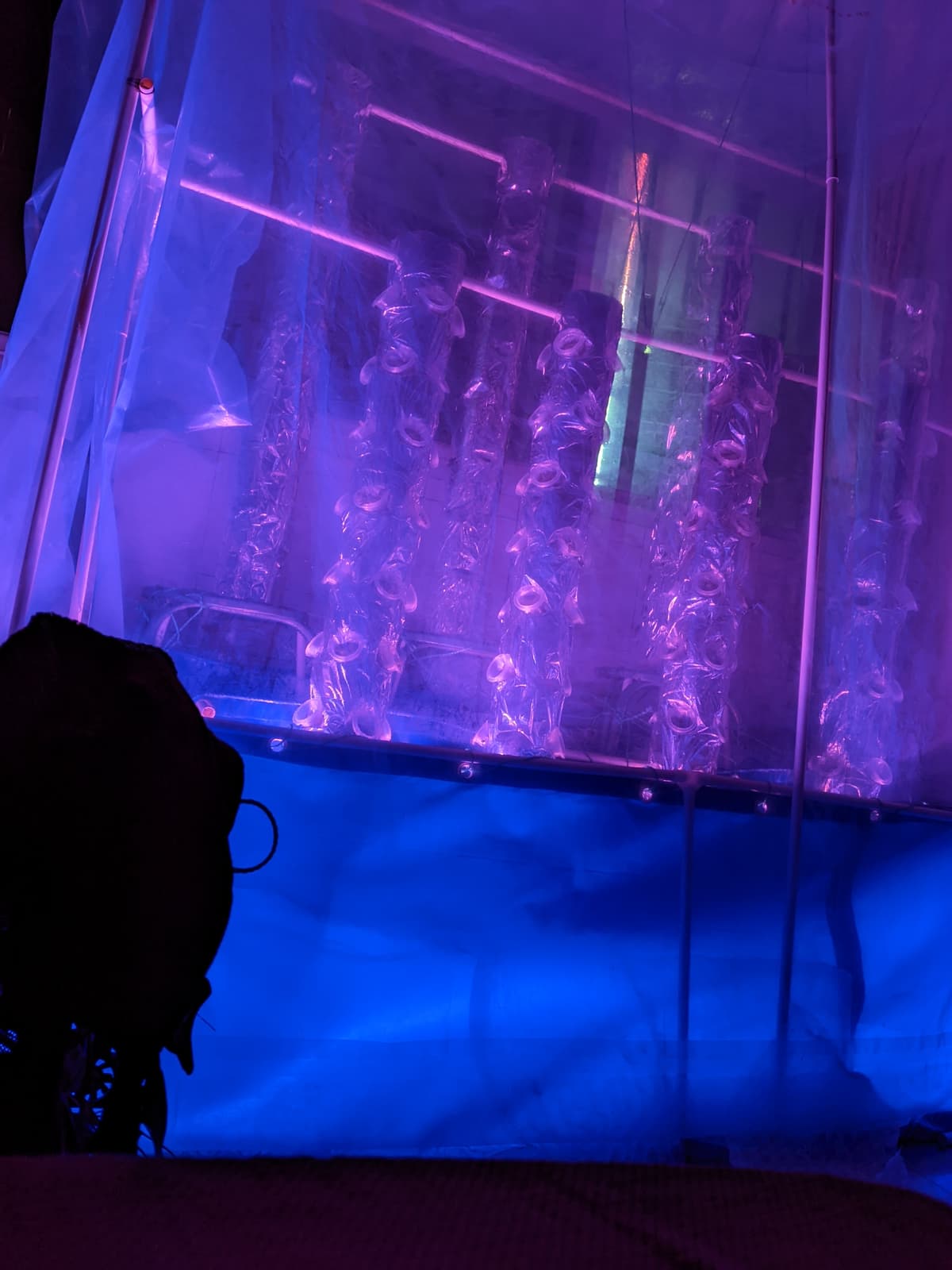 垂直管道雾培鱼菜共生